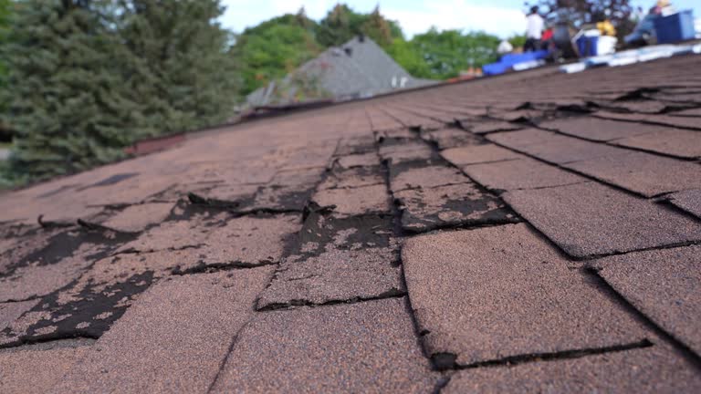 Best Roof Coating and Sealing  in Helemano, HI